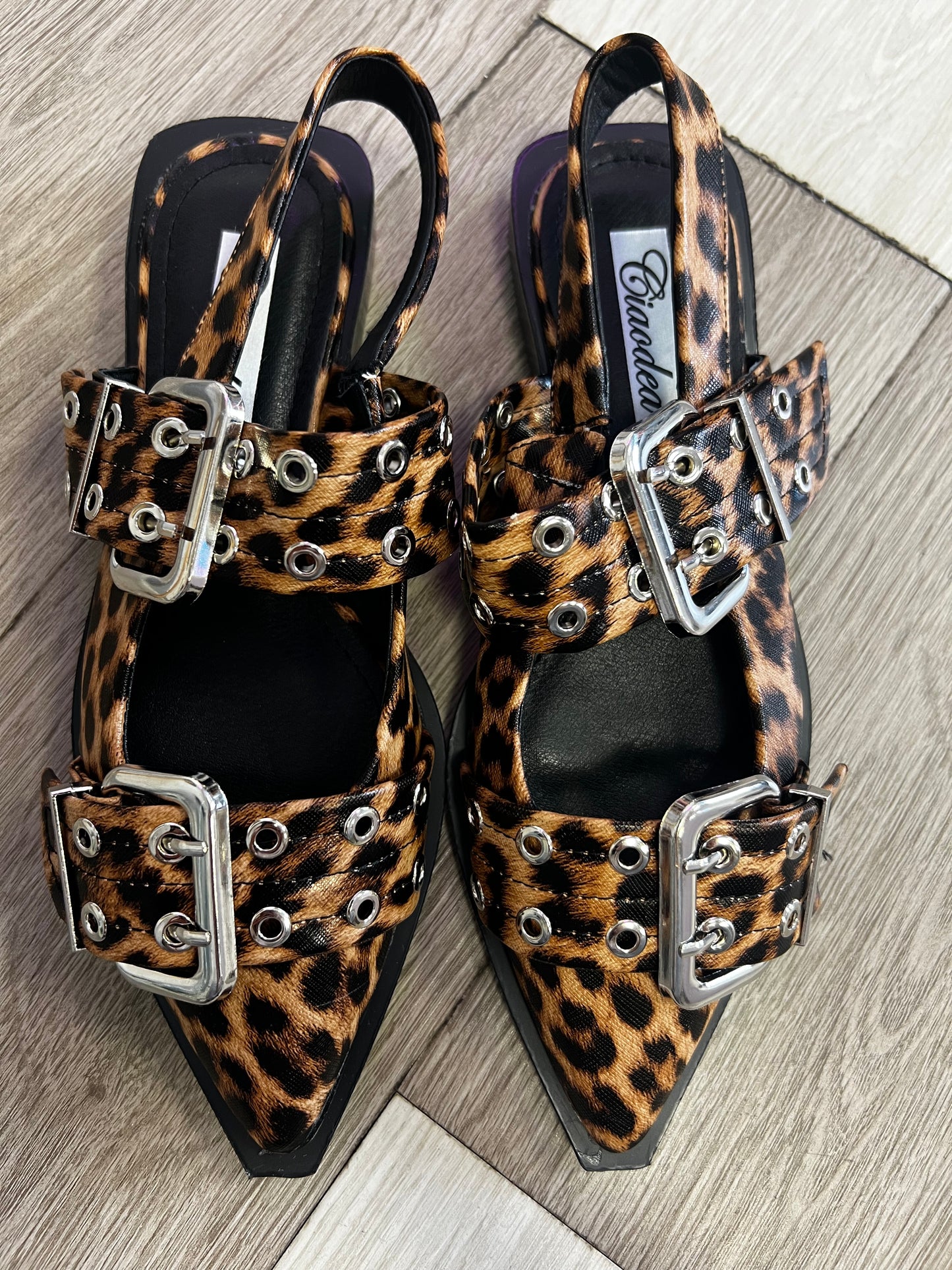 Sabot LEO