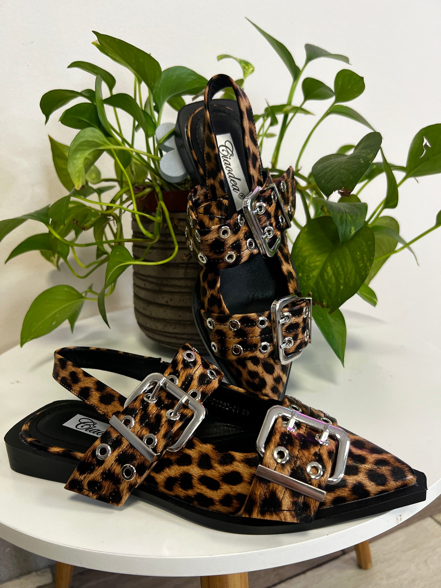 Sabot LEO