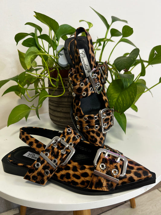 Sabot LEO