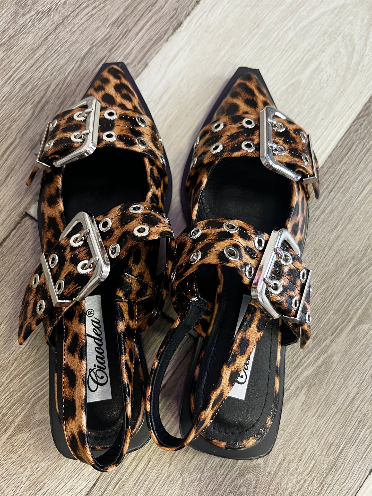 Sabot LEO