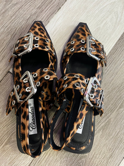 Sabot LEO