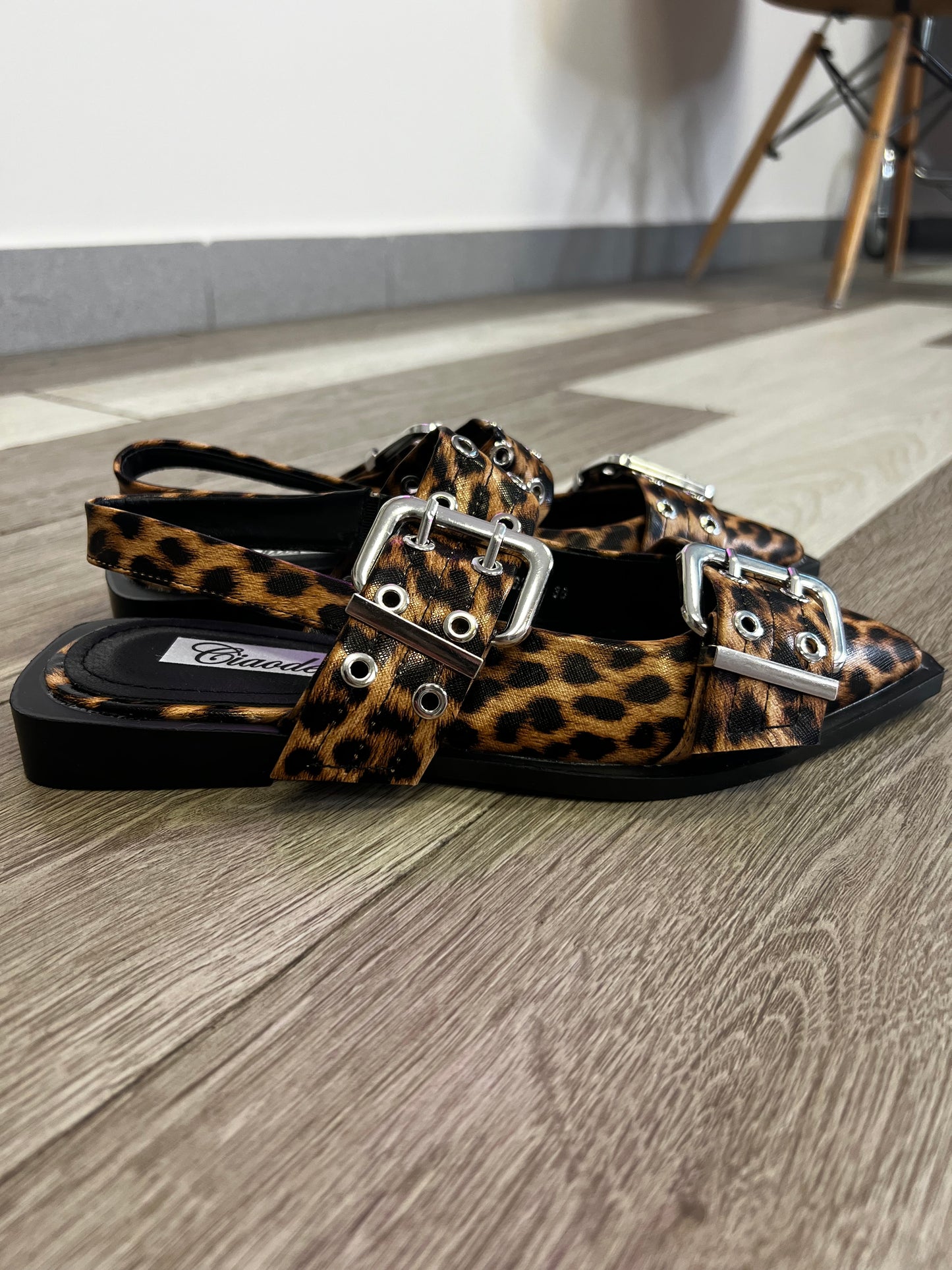 Sabot LEO