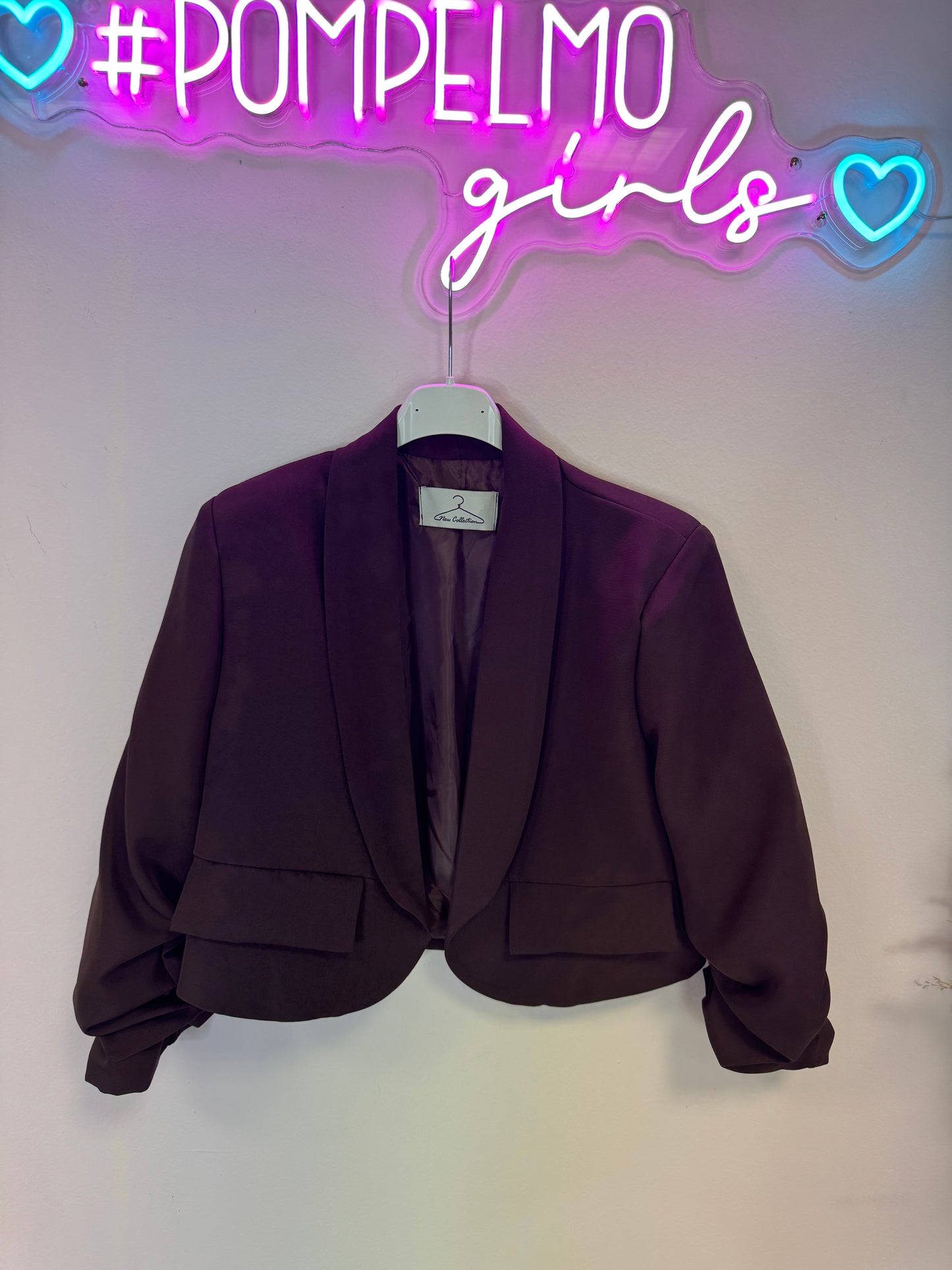 Blazer LEDA CROP