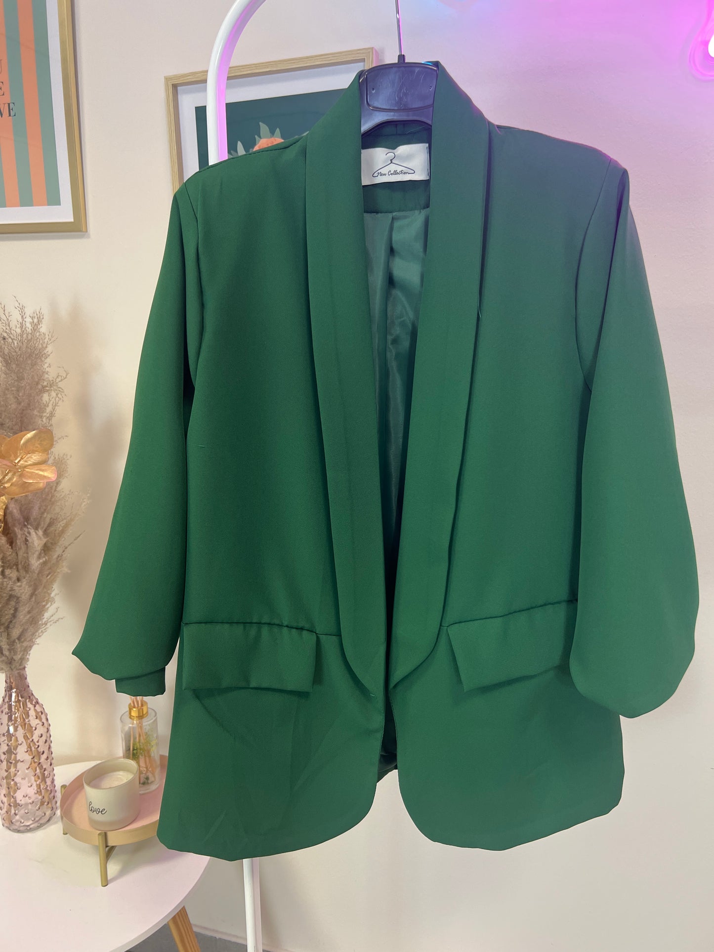 Blazer LEDA