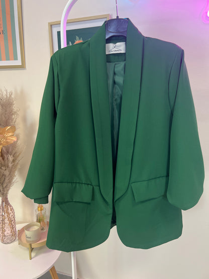 Blazer LEDA
