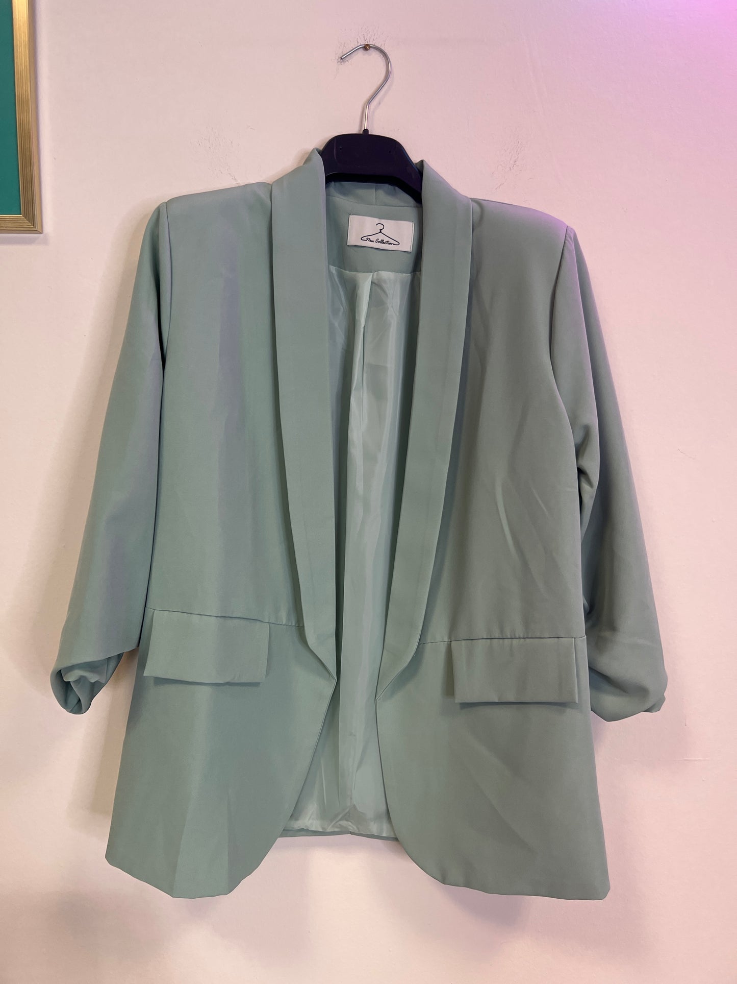 Blazer LEDA