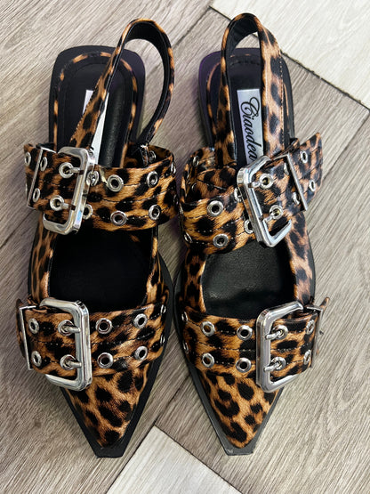 Sabot LEO